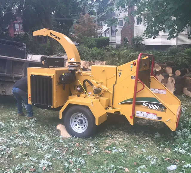Olmedo Tree Service and Demolition LLC work photo