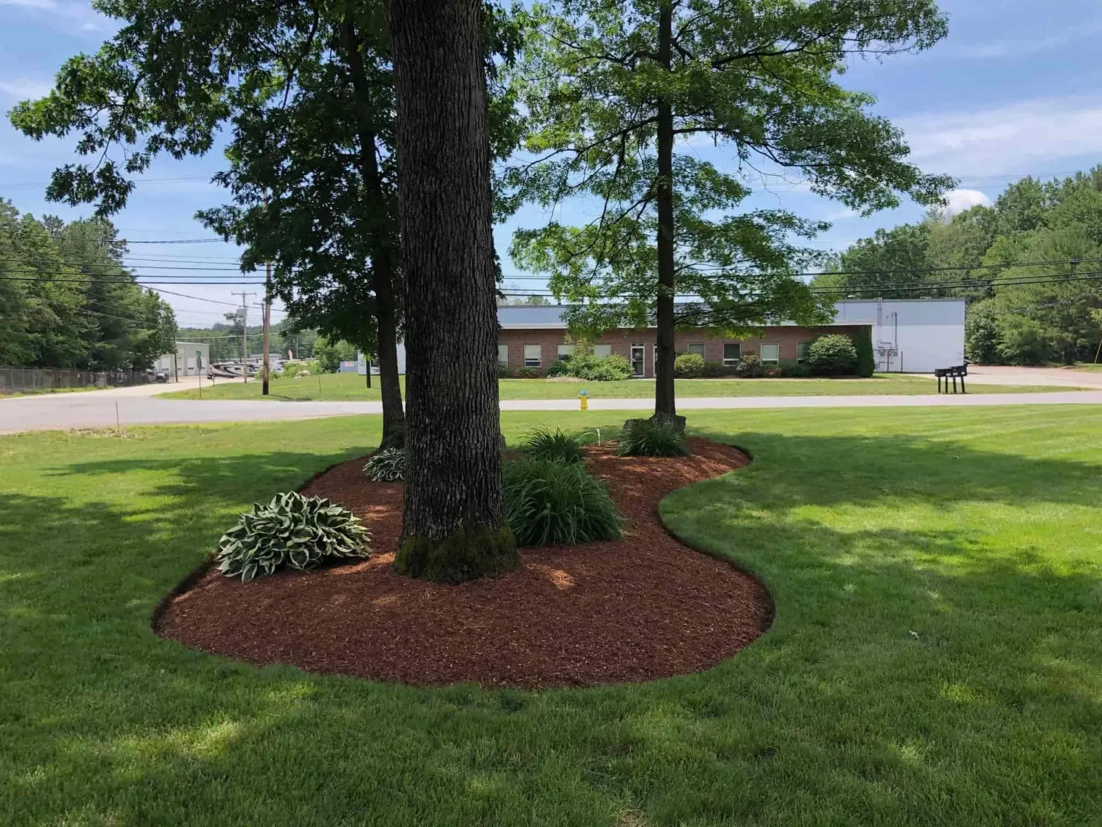 NH Landscape Maintenance Company