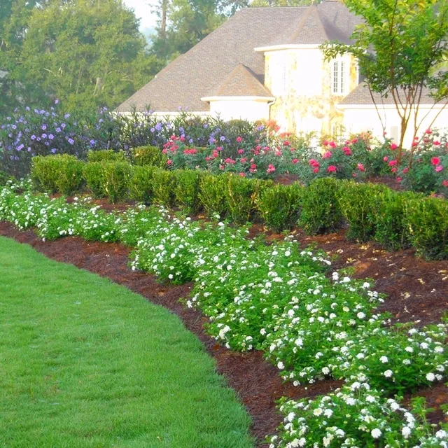 Pinebrook Landscaping