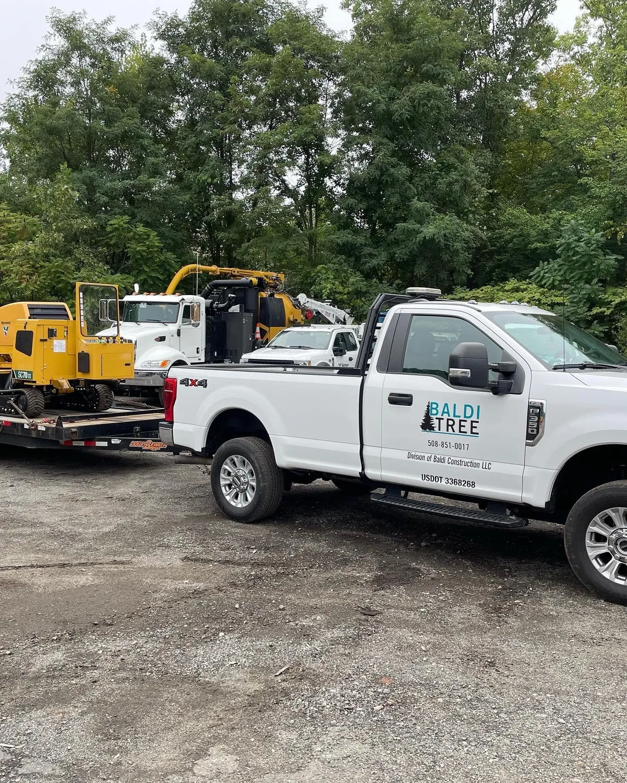Baldi Tree trucks