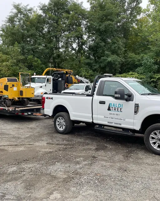 Baldi Tree trucks