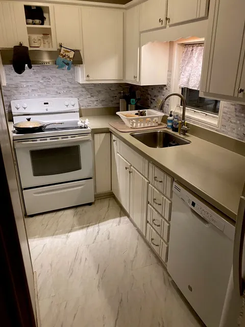 New Palace Services Inc. researched project photo
