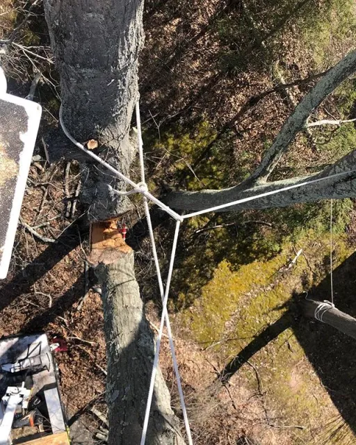 🌱 Spring has finally sprung! We&rsquo;ve been busy making yards safe after winter&rsquo;s mess with #treepruning of broken limbs and removing dangerous trees like this oak that split down the middle! 🔺 #cttree #treecare #protectpreserve #treeremova