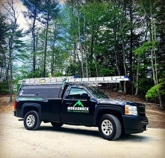 Monadnock Pest & Wildlife Services work photo