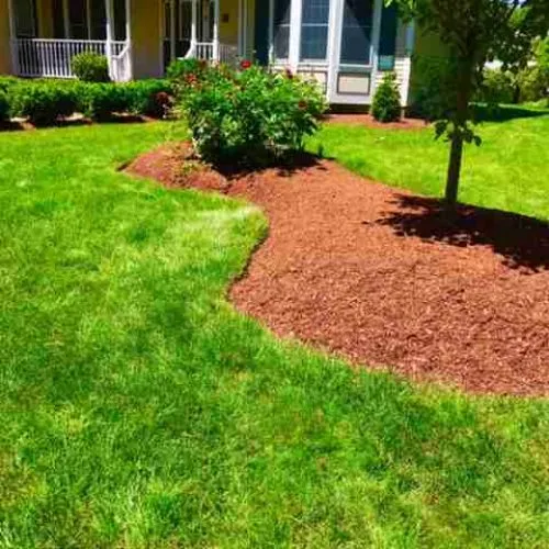 Lawn and landscape with shrubs, trees, and mulch