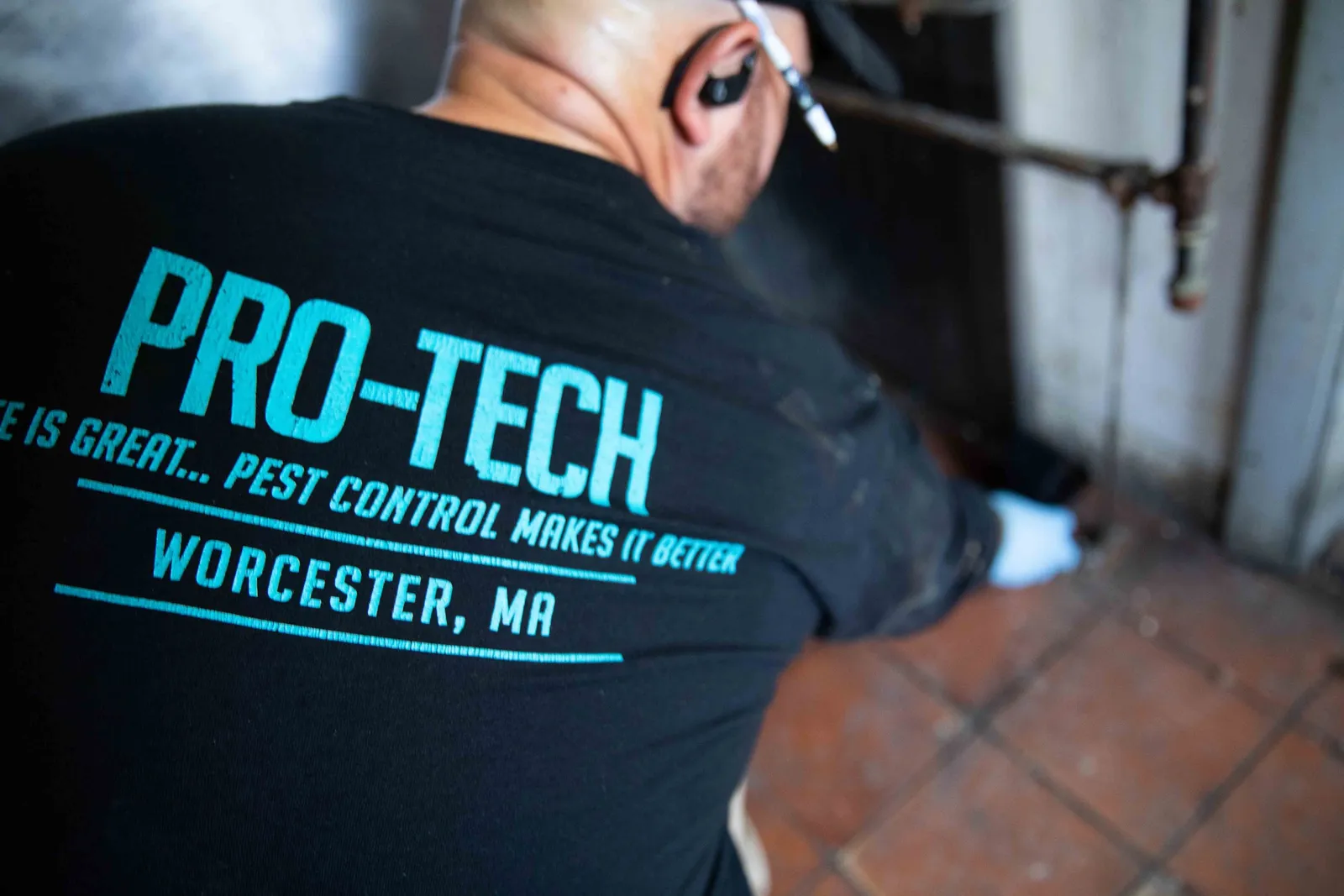 work photo from protechpestcontrol.com