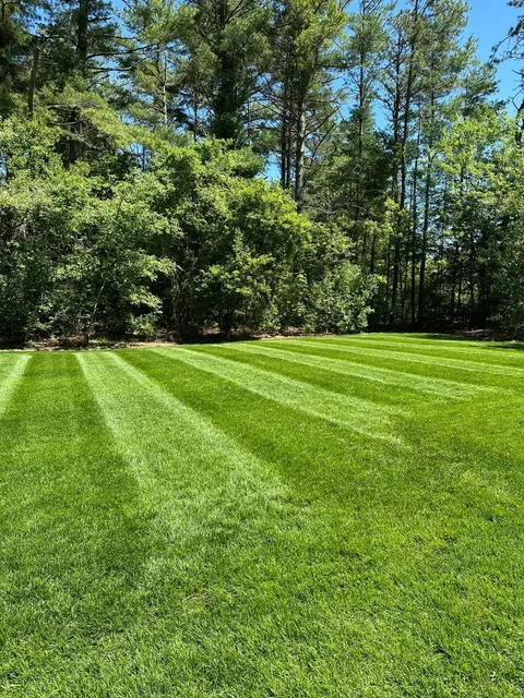 Platinum Landscapes LLC work photo