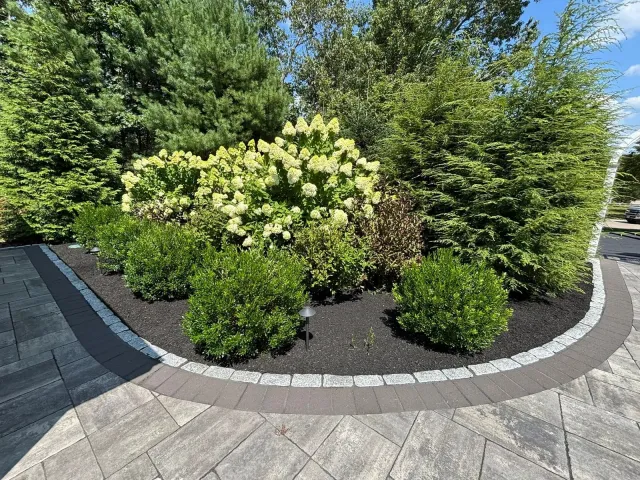 Retaining Wall with Hydrangeas