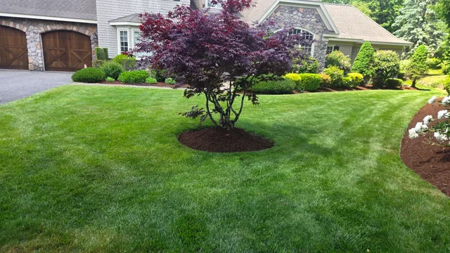 Sarmiento's Lawncare work photo