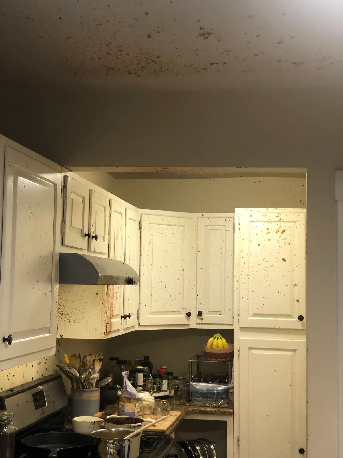 Fresh Start Cleaning researched project photo