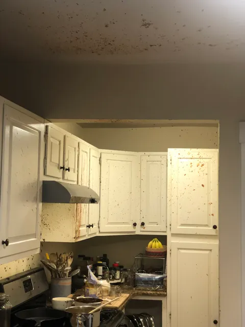 Fresh Start Cleaning researched project photo