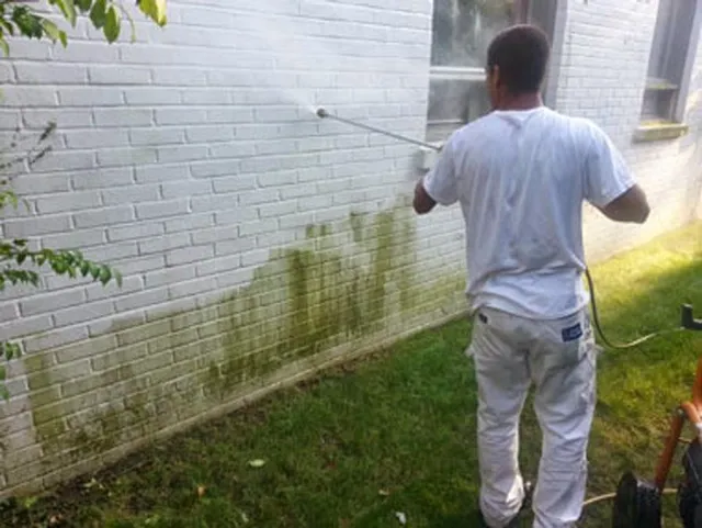 Castros Power Washing work photo