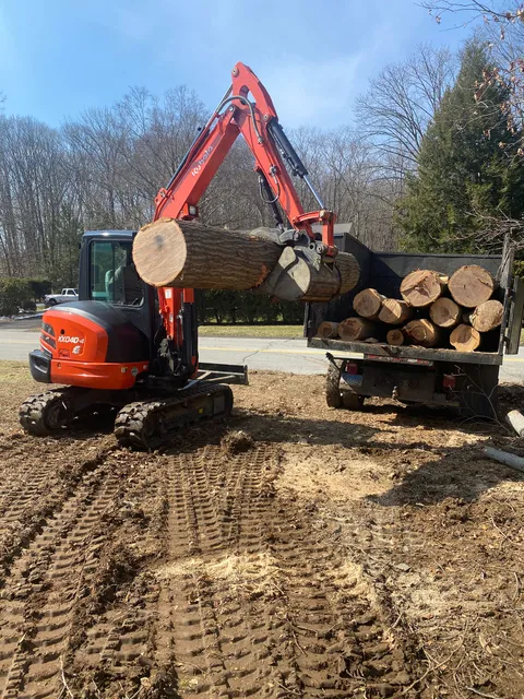 geovanny tree services work photo