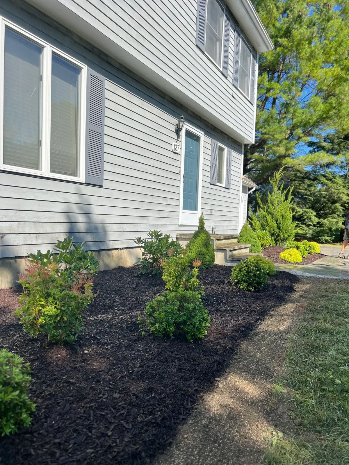 A house with a lot of plants in front of it.