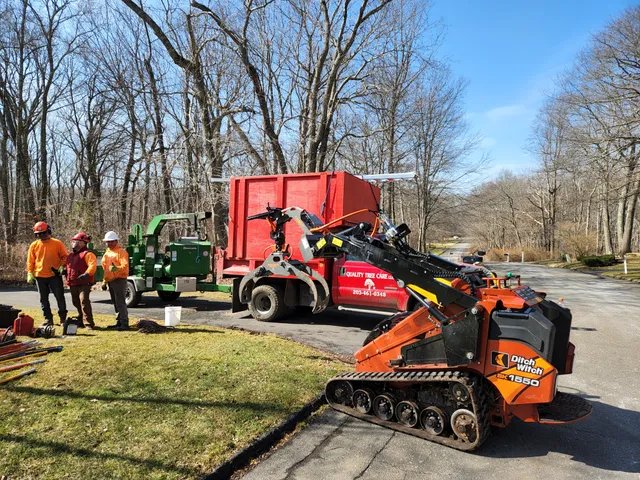 Quality Tree Care LLC work photo