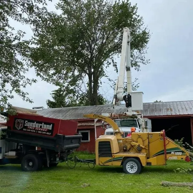 Sunderland Tree Service, LLC work photo