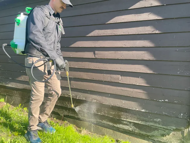 Clover Pest Control work photo