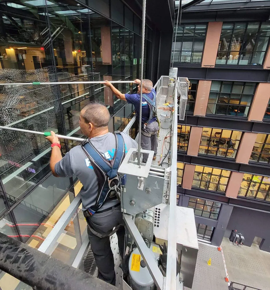 Pureview Building Services