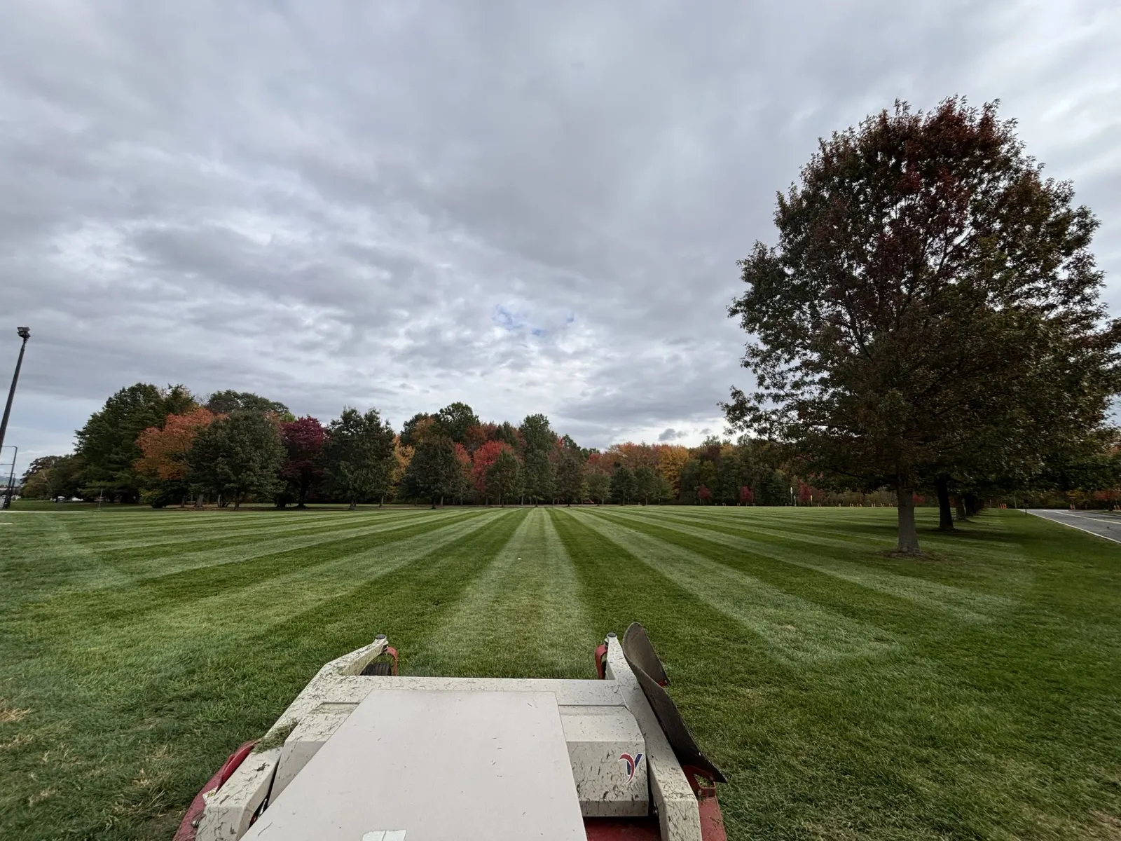 a golf course with green grass and trees with autumn foliage, and a golf cart at the bottom of the image, under a cloudy sky.