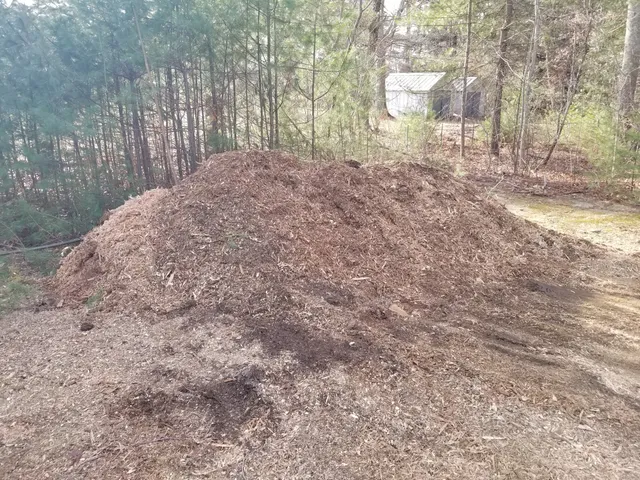 work photo from khourystumpgrinding.com