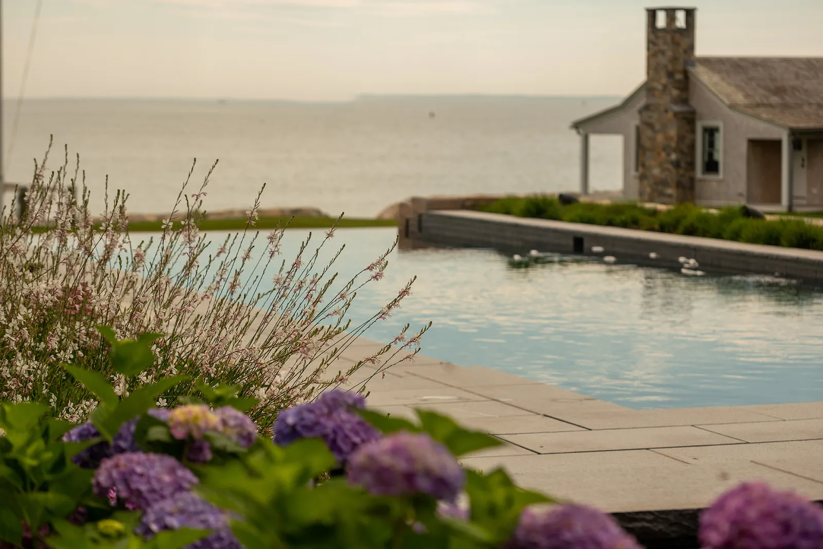 Hydrangea and gaura borders framing a waterfront pool