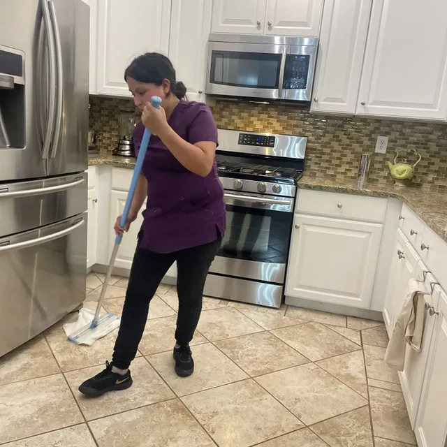 Royal Alchemist Cleaners LLC work photo