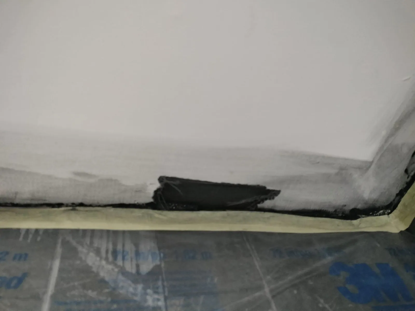 Cali Painting researched project photo