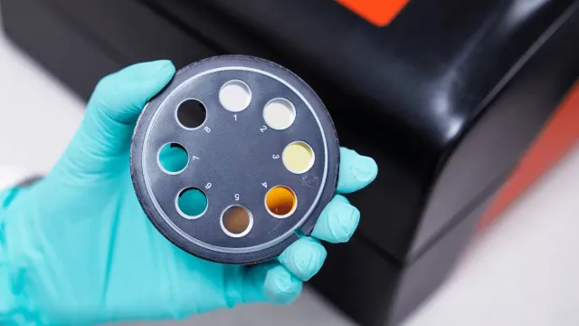 Gloved hand holding a mold test sample