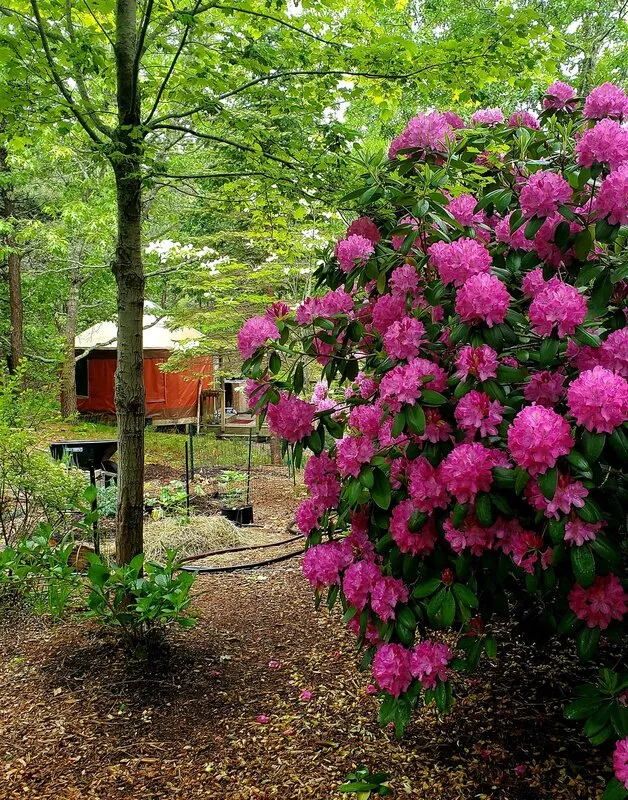 work photo from outercapegardens.com
