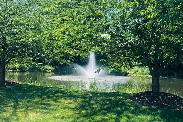 English Commons fountain