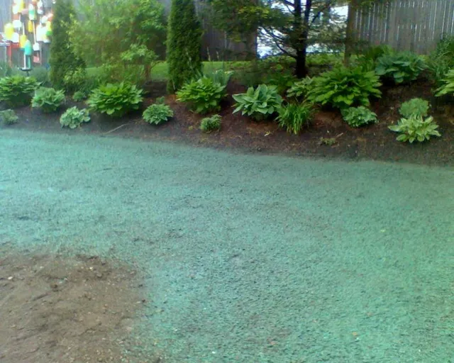 Cape Cod Hydroseeding & Landscape Co researched project photo
