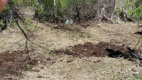 after cutting brush to the property line