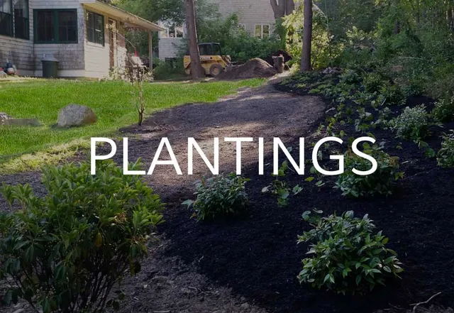 Pinnacle Maine Landscape plantings