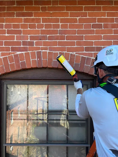 Expert Wildlife and Pest Control work photo