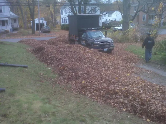 work photo from randalllandscaping.com