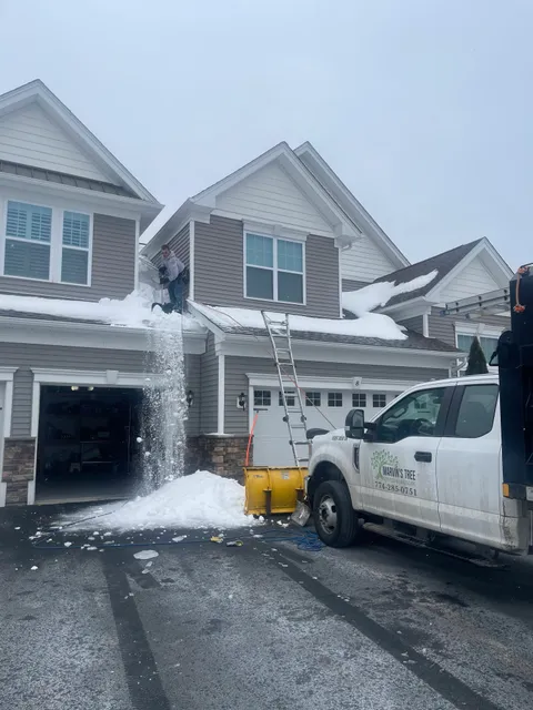 Marvin Tree Service & Landscaping Corp work photo