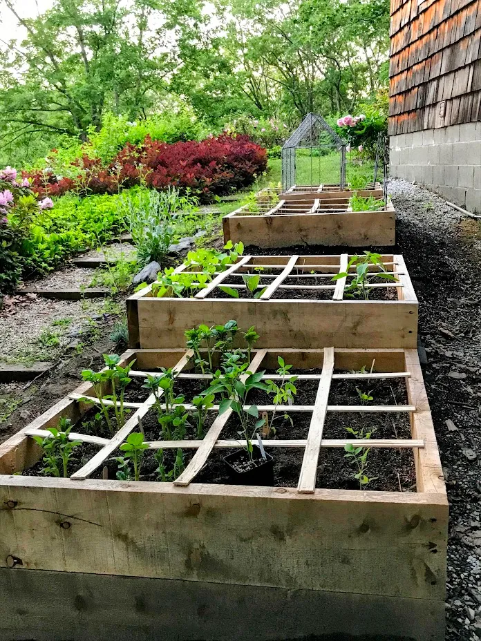 Raised garden beds
