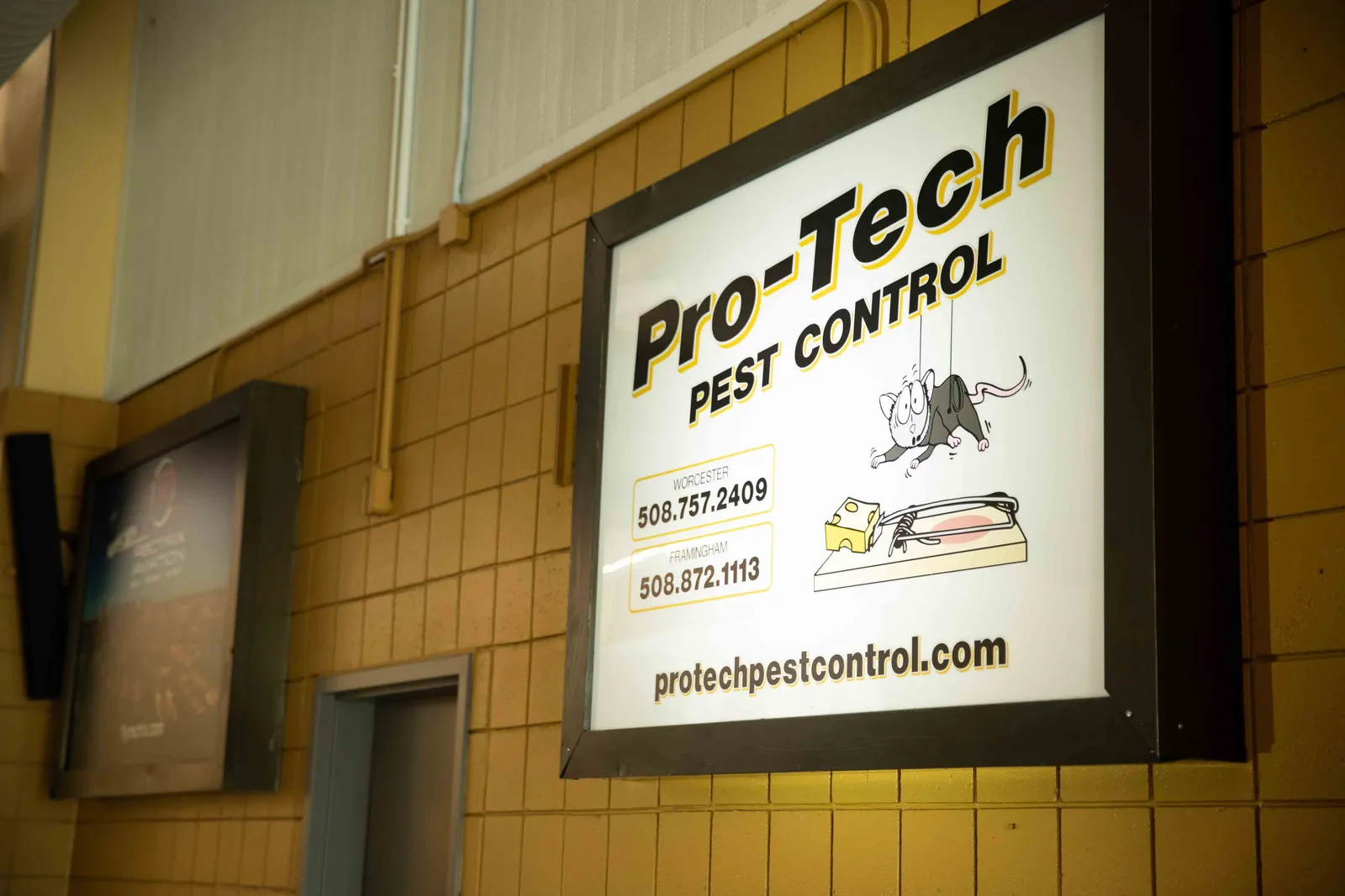 work photo from protechpestcontrol.com