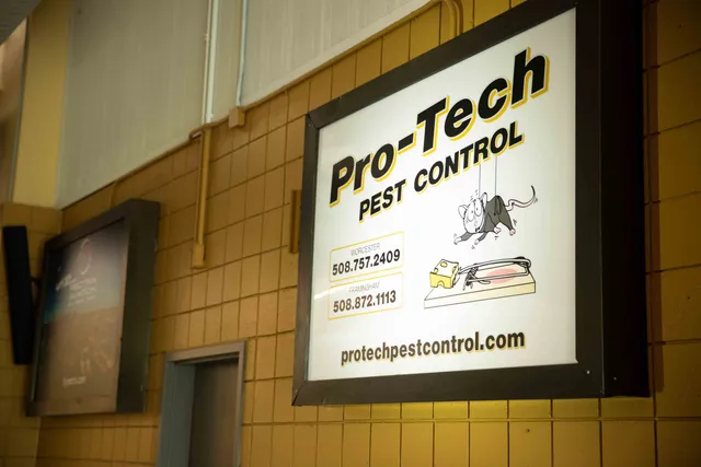 work photo from protechpestcontrol.com