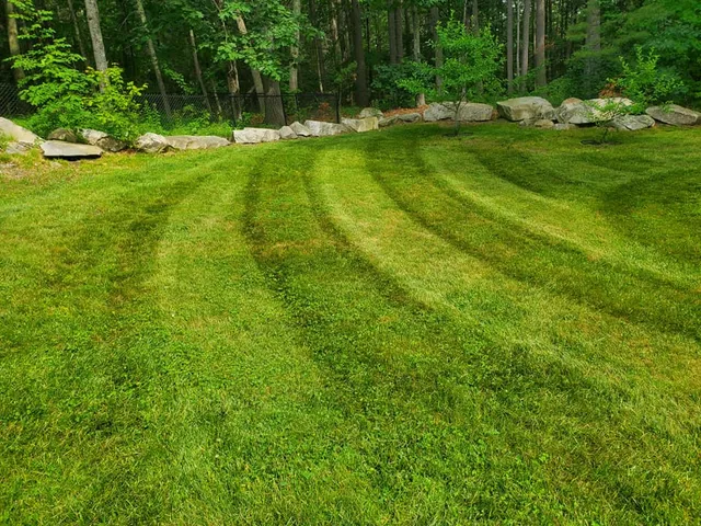 Hungry Wolf Tree & Landscaping Service work photo