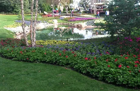 Portillo Landscaping LLC