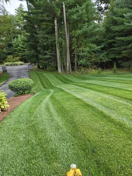 A neatly mowed lawn with striped patterns leads to a paved driveway, surrounded by lush trees and a well-maintained garden area.