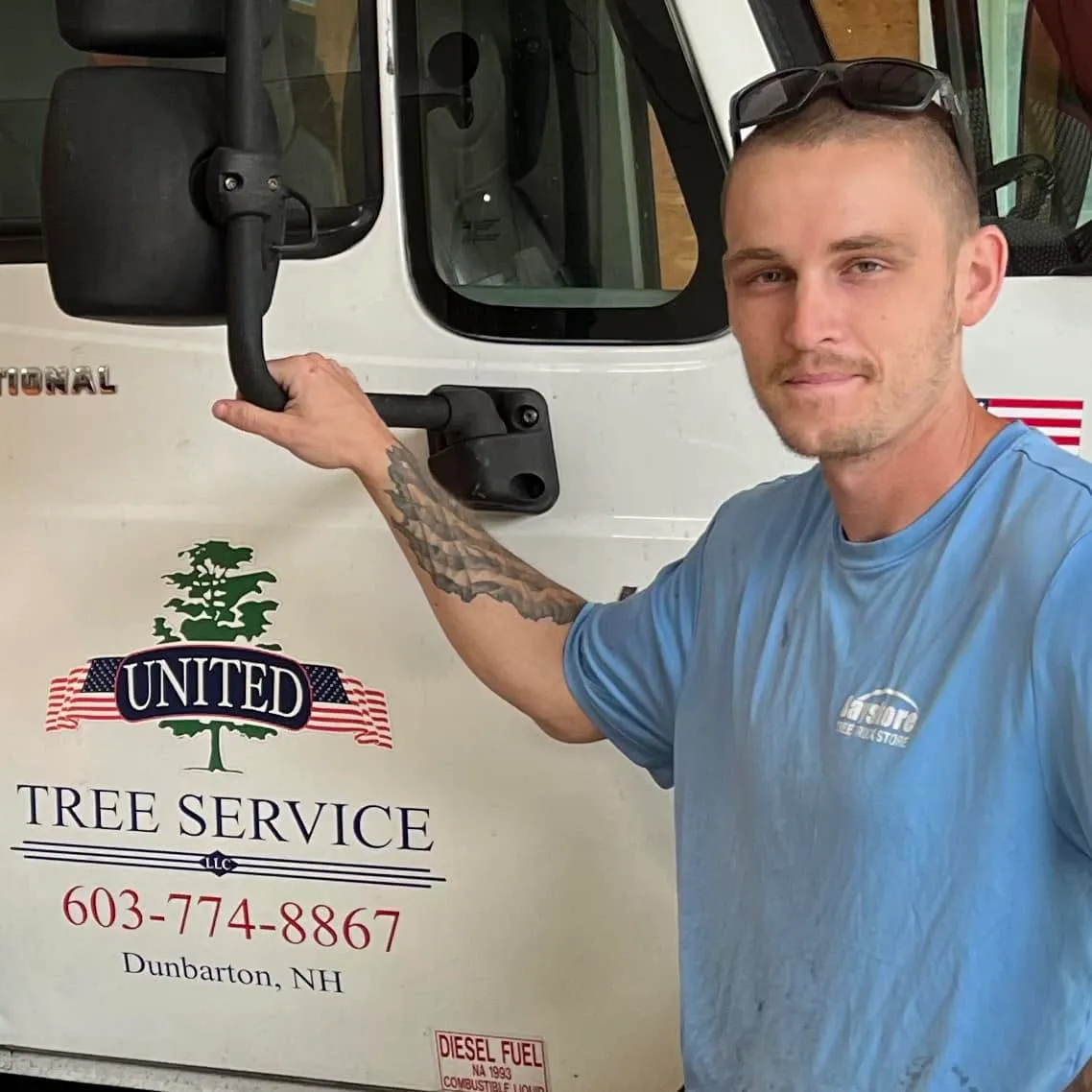 United Tree Service LLC researched project photo