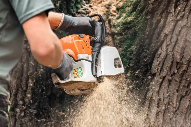 work photo from chicopeetreeservice.com