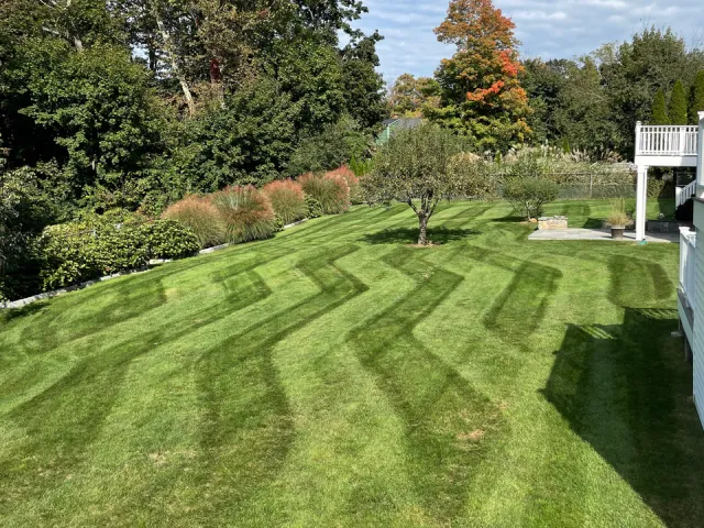 work photo from sampedrolandscapingct.com