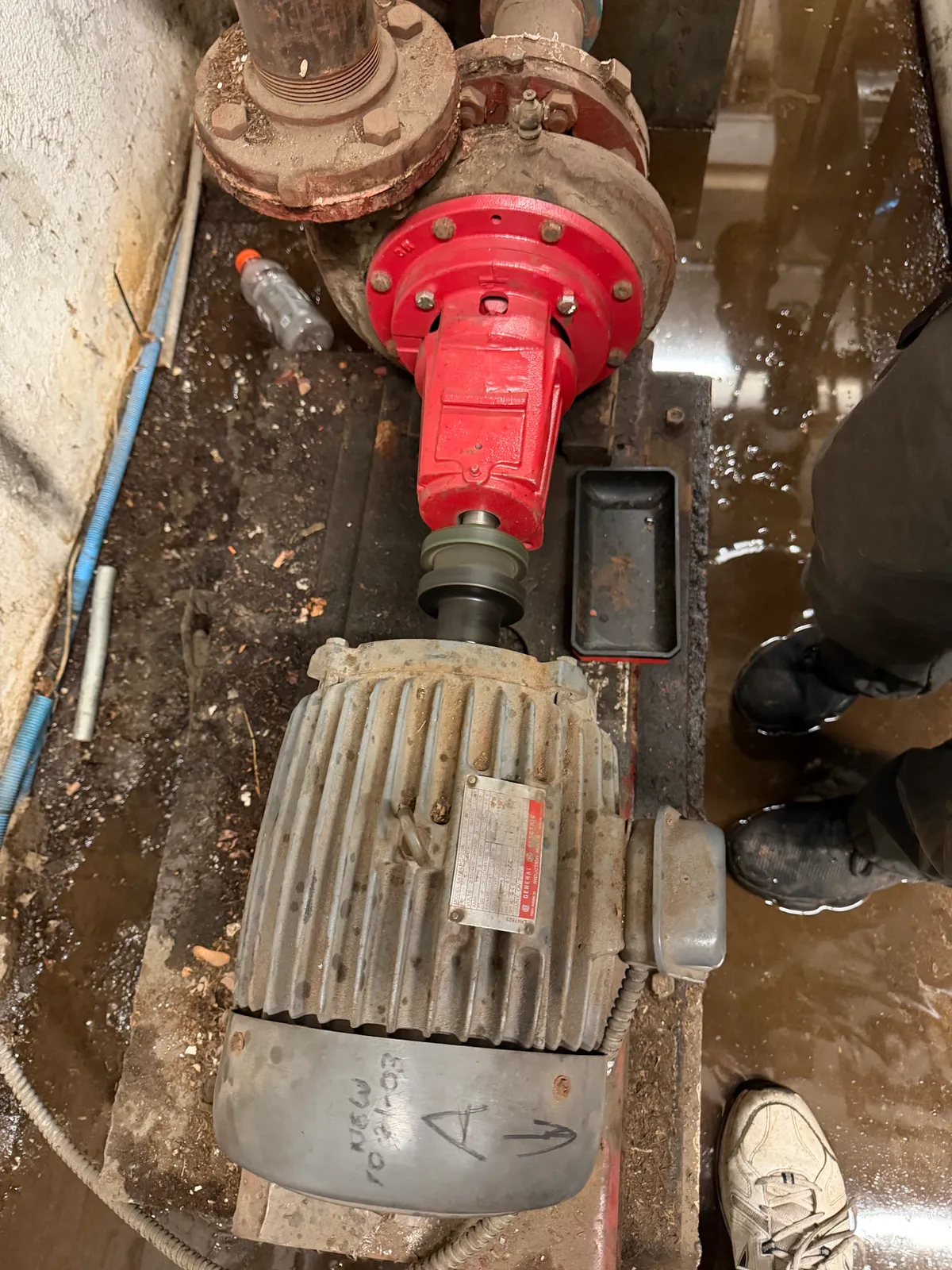 work photo from Google listing