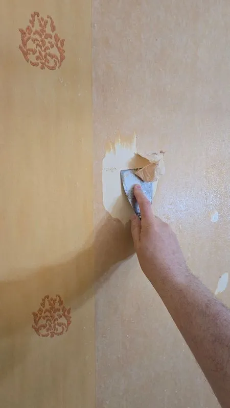 Wallpaper Removal