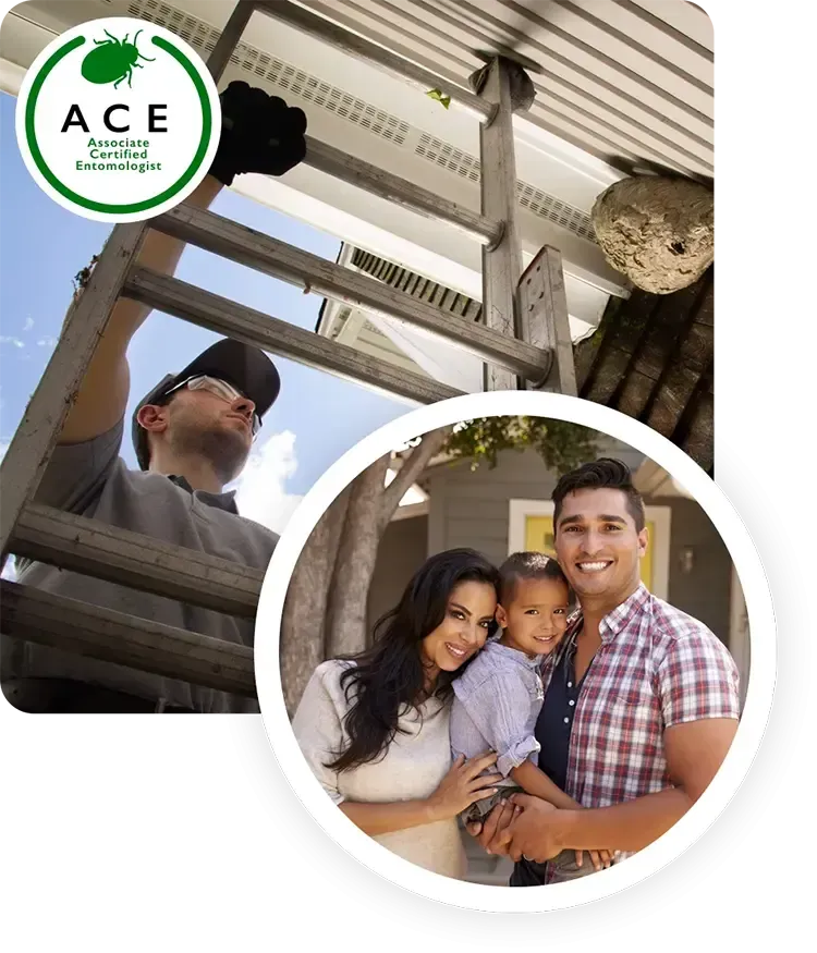 Ecologic Etomology technician climbing ladder inspecting house