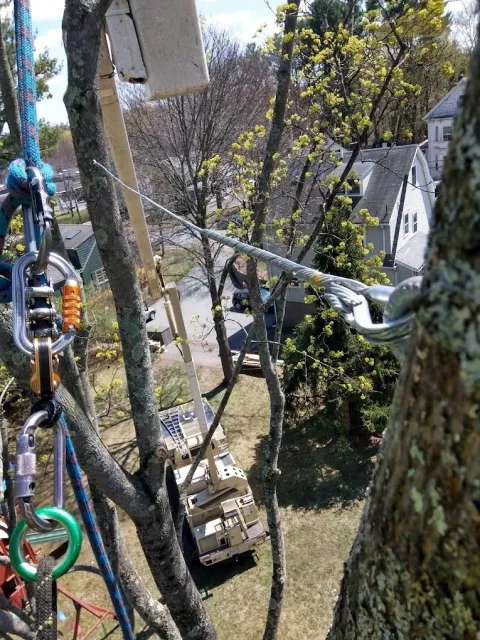work photo from lovetreelandscapeservices.com