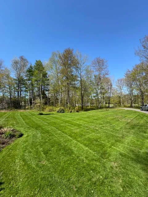 Lawn Maintenance